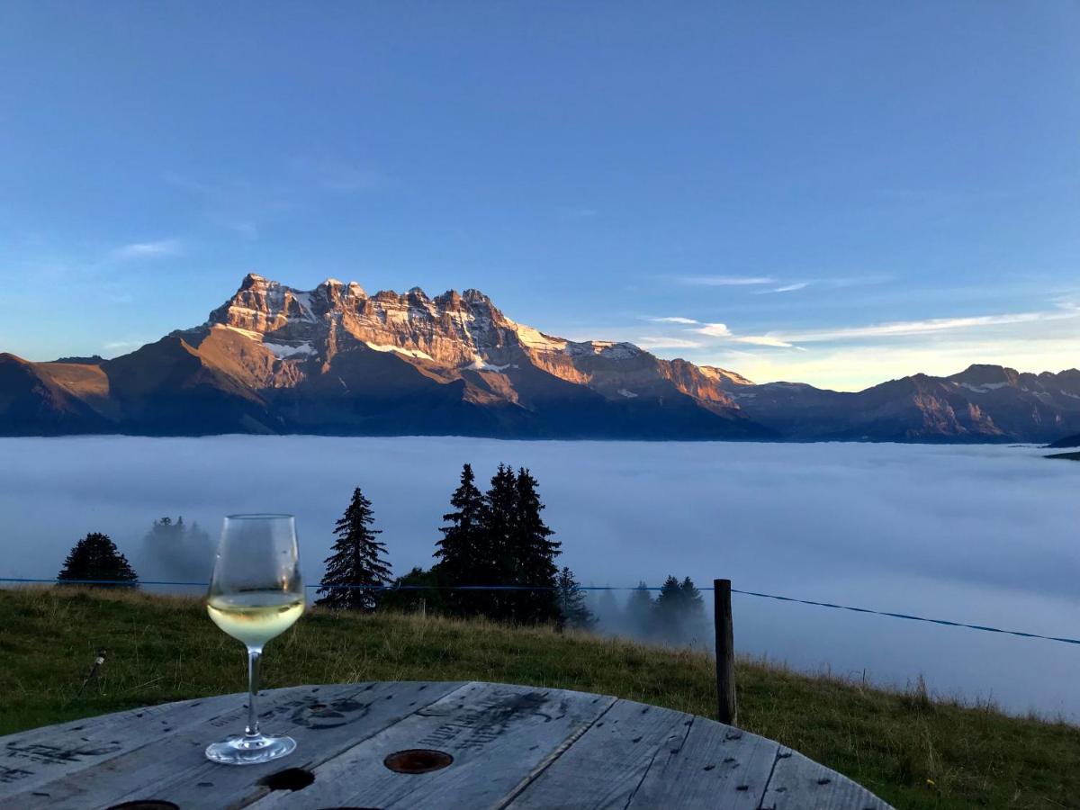 Chalet Chanso Morgins Exteriér fotografie